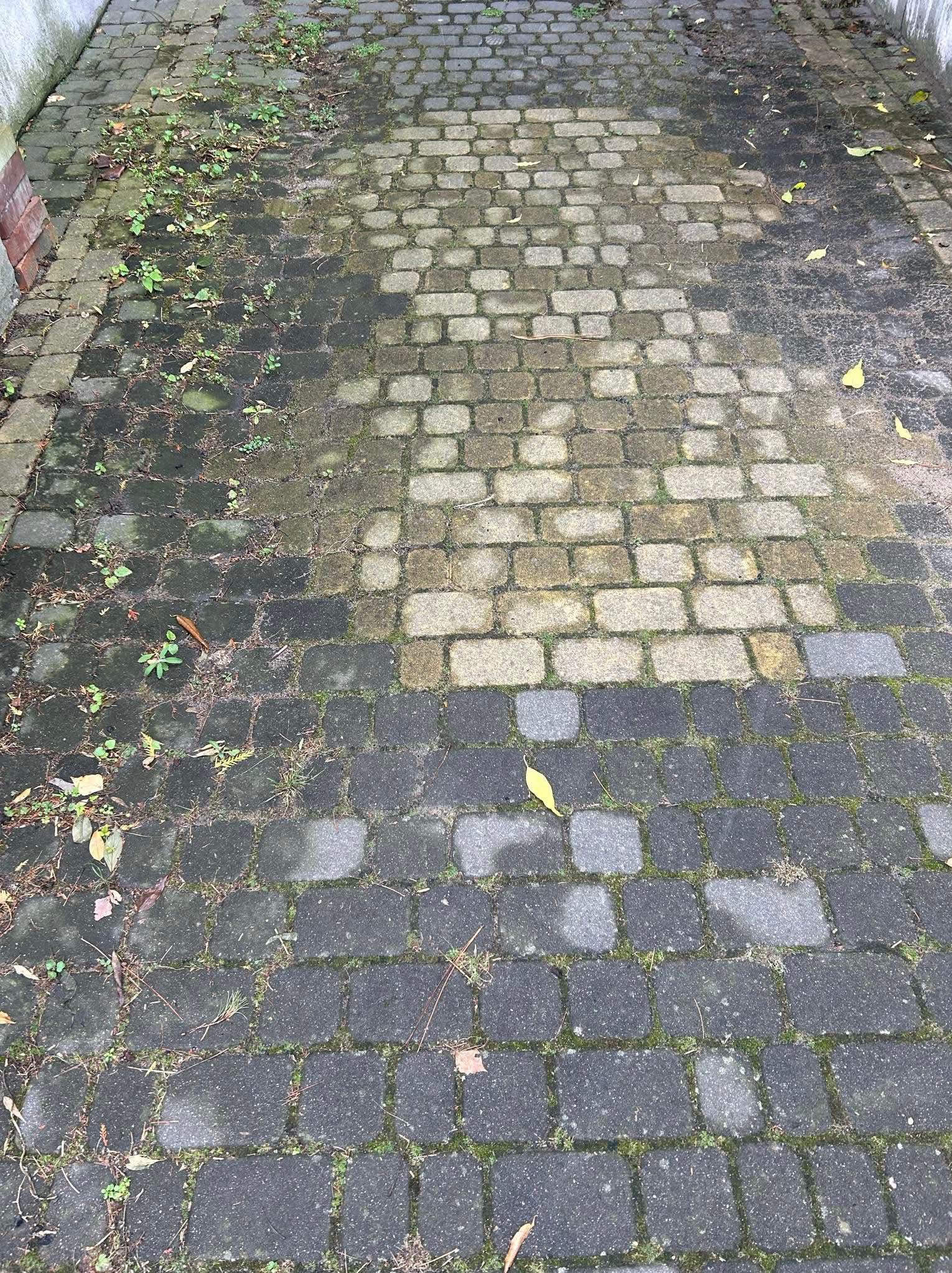 Częściowo wyczyszczona kostka brukowa, widoczna różnica w kolorze i czystości. Po lewej stronie kostka brudna, porośnięta mchem, po prawej czysta, jaśniejsza.