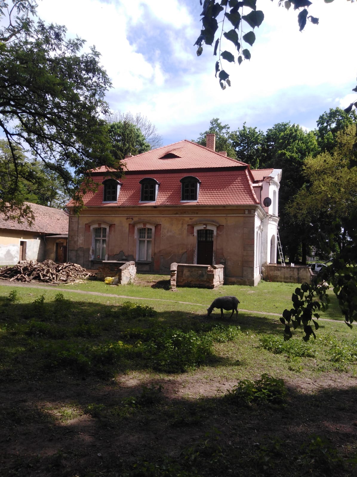 Dworek z czerwoną dachówką, trzema oknami na poddaszu i owcą pasącą się na trawniku, widok z zewnątrz w słoneczny dzień.
