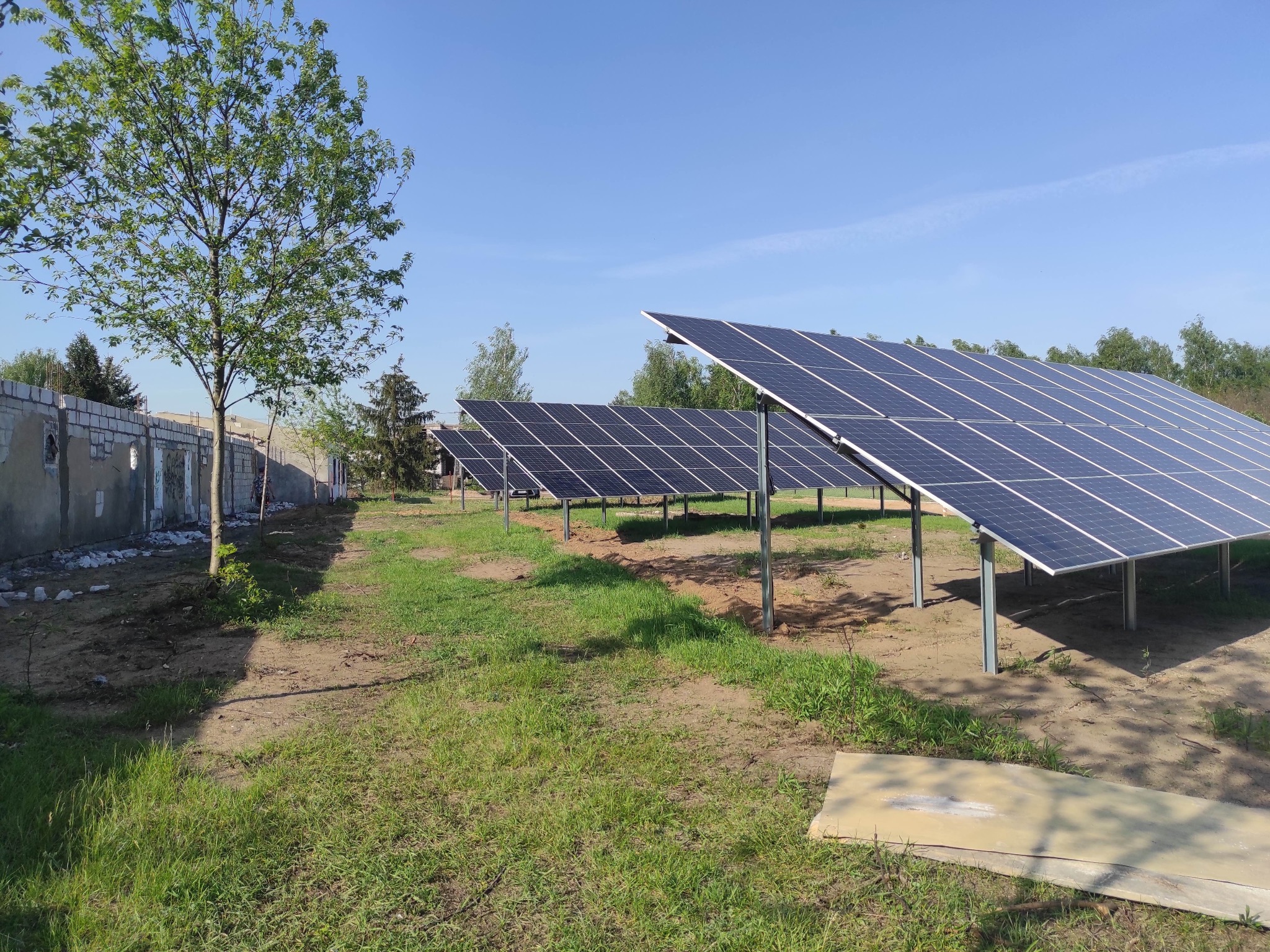 Rząd paneli fotowoltaicznych na metalowych stelażach, widoczny z poziomu gruntu, z młodym drzewem po lewej stronie i fragmentem muru budynku w tle, w słoneczny dzień.