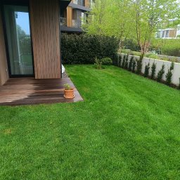 Trawa z rolki Gdańsk 4