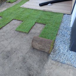 Trawa z rolki Gdańsk 2