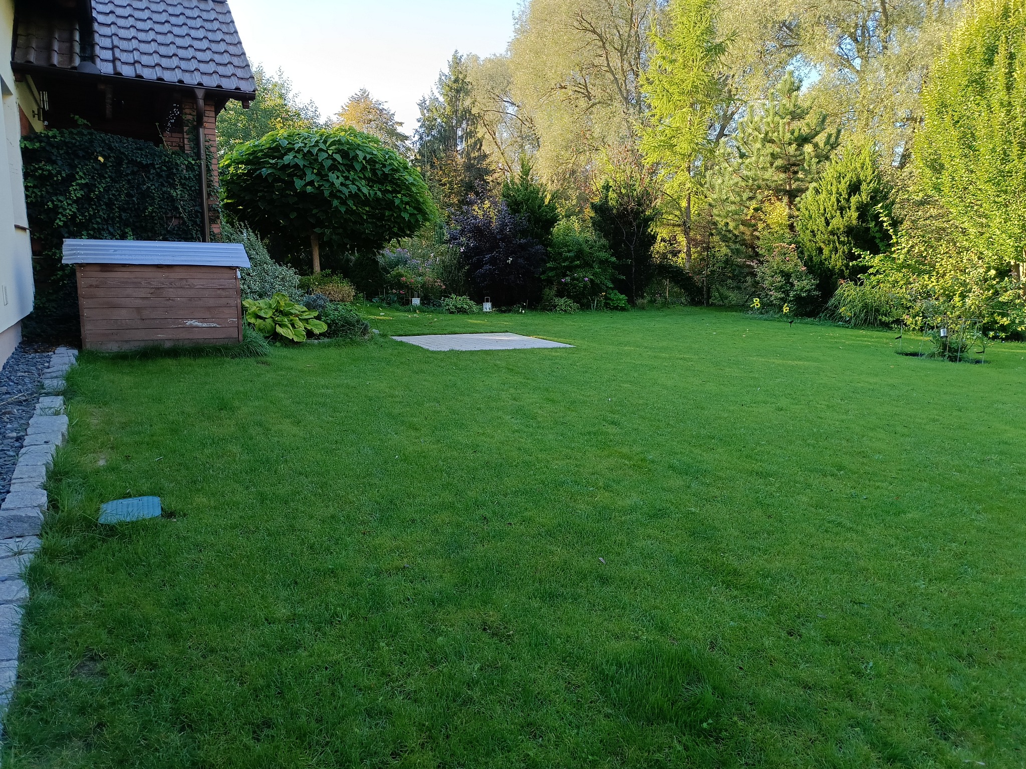 Rozległy, równo przystrzyżony trawnik w ogrodzie, z widocznymi drzewami i krzewami w tle oraz małą drewnianą budką po lewej stronie. Na trawniku widoczny właz do systemu nawadniania.