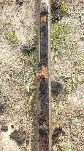 Próbka gleby w rdzeniu wiertniczym, widoczne warstwy ziemi o różnej strukturze i kolorze, otoczenie to sucha trawa i ziemia.