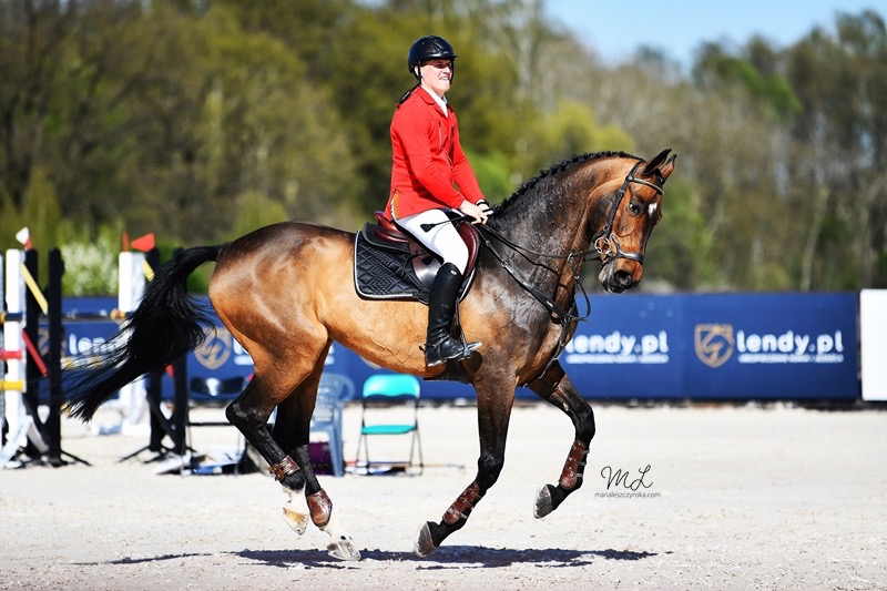 Jeździec w czerwonej kurtce na brązowym koniu podczas zawodów w Warszawie, skok przez przeszkodę na jasnym, piaszczystym podłożu.