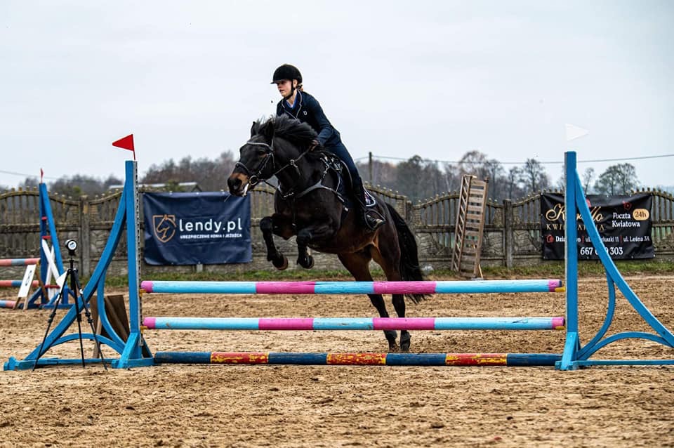 Jeździec i koń w skoku przez przeszkodę na piaszczystym terenie treningowym, w tle widoczny baner reklamowy z logo firmy ubezpieczeniowej.