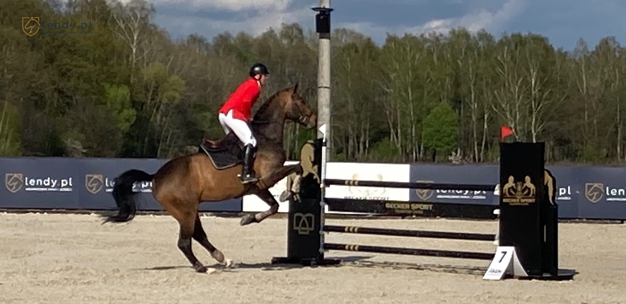 Jeździec w czerwonej kurtce i białych bryczesach na brązowym koniu skacze przez przeszkodę na zawodach jeździeckich; widoczne logo sponsora na bandach
