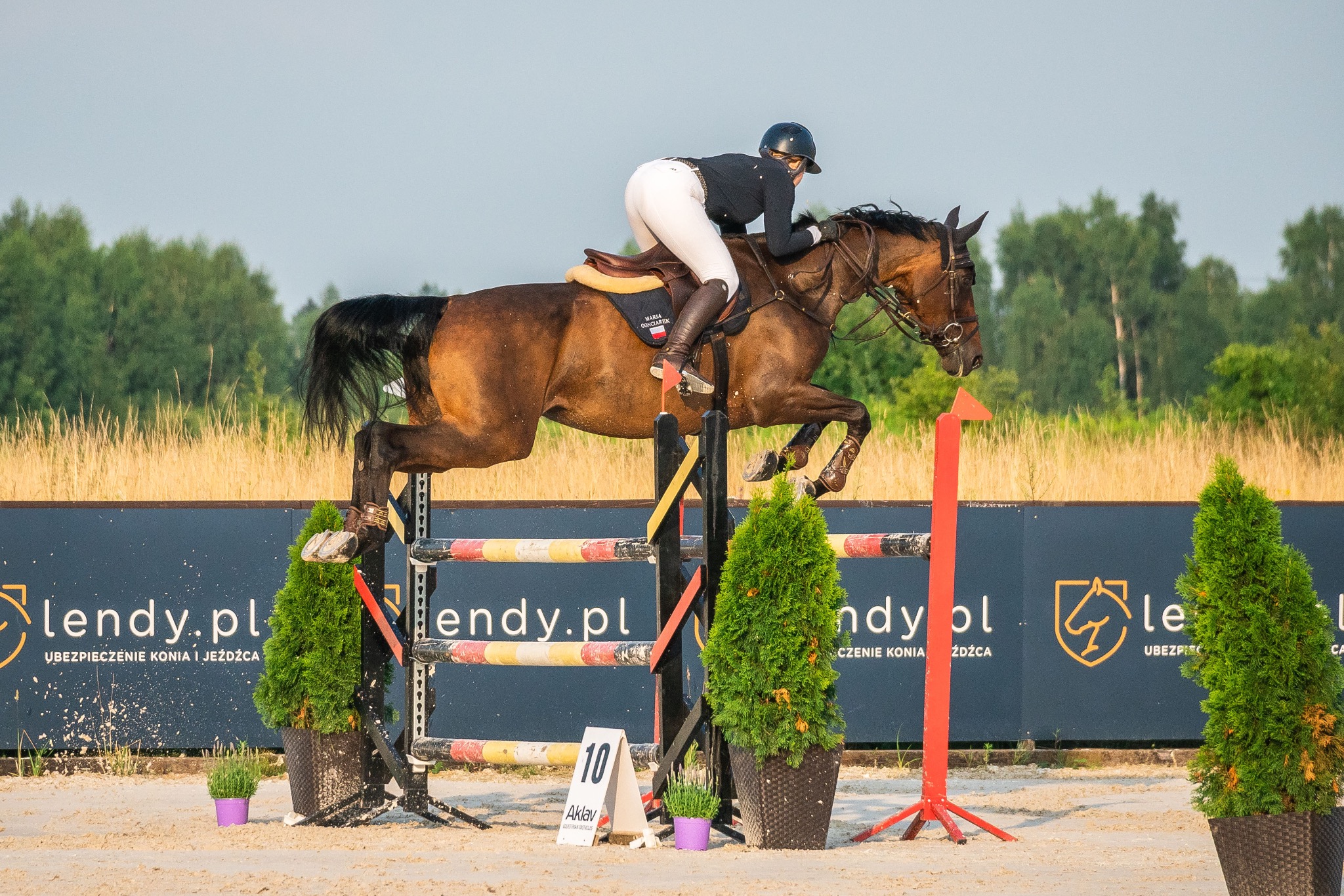 Jeździec na brązowym koniu pokonuje przeszkodę na zawodach, w tle las i baner reklamowy z napisem 'lendy.pl UBEZPIECZENIE KONIA I JEŹDŹCA'
