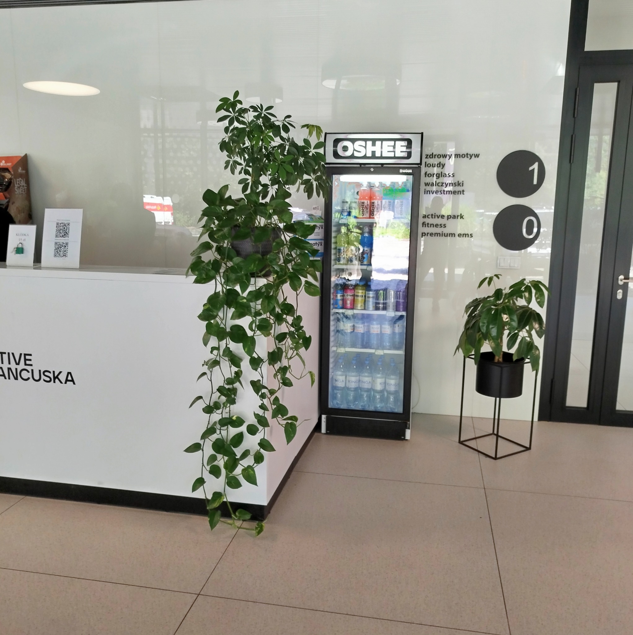Recepcja biura z roślinami doniczkowymi i lodówką z napojami marki Oshee, widoczne napisy na ścianie z ofertą firmy.