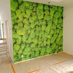 Ściana pokryta fototapetą z motywem mchu w jasnym pomieszczeniu, z zabezpieczoną folią podłogą i drabiną w tle.