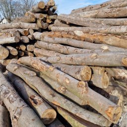 PPHU PRO-DREX Piotr Garbacz - Drewno opałowe bukowe, dębowe, sosnowe 2,5m z dostawą do klienta