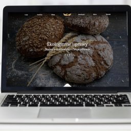 Elegancka strona internetowa dla branży gastronomicznej - Food! Połączenie wyrafinowanego designu z nowoczesnymi technologiami.