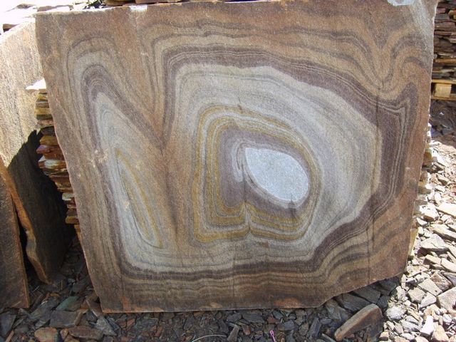 Płyta piaskowca o nieregularnym kształcie z widocznymi warstwami i wzorem przypominającym przekrój drzewa, ułożona na podłożu z drobnych kamieni.