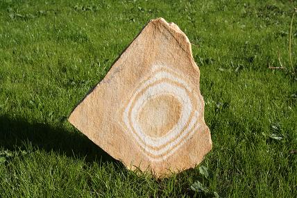 Płaski kamień piaskowca z koncentrycznymi, jaśniejszymi pierścieniami na tle zielonej trawy.