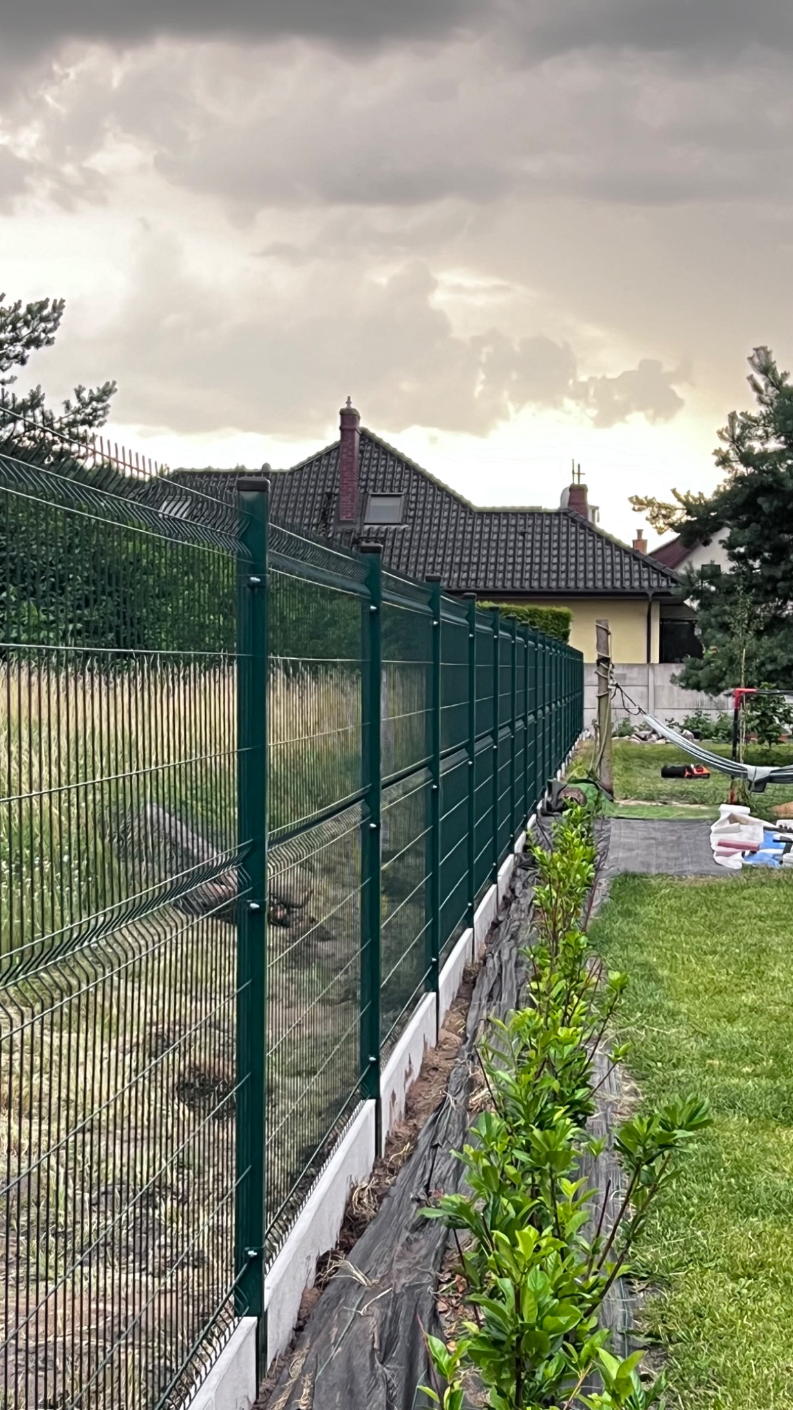 Długi, zielony system ogrodzenia panelowego z podmurówką betonową, widok z boku, z młodymi krzewami posadzonymi wzdłuż ogrodzenia, w tle dom i pochmurne niebo.