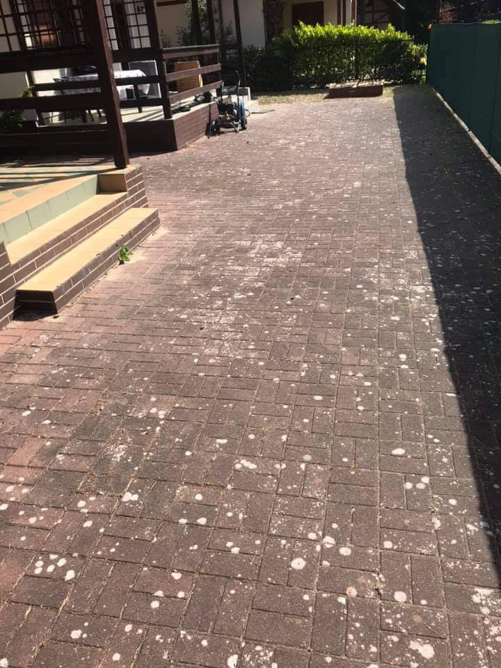 Ceglana kostka brukowa na podjeździe, pokryta białymi plamami mchu i zabrudzeniami, widoczny fragment domu z werandą i schodami, w tle zieleń.