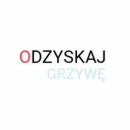 Napis 'ODZYSKAJ GRZYWĘ' na białym tle, z czerwonym 'O' w słowie 'ODZYSKAJ' i delikatnym, rozmytym odcieniem niebieskiego w słowie 'GRZYWĘ'.