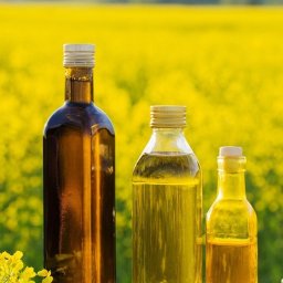 Tłuszcze roślinne Warszawa 4