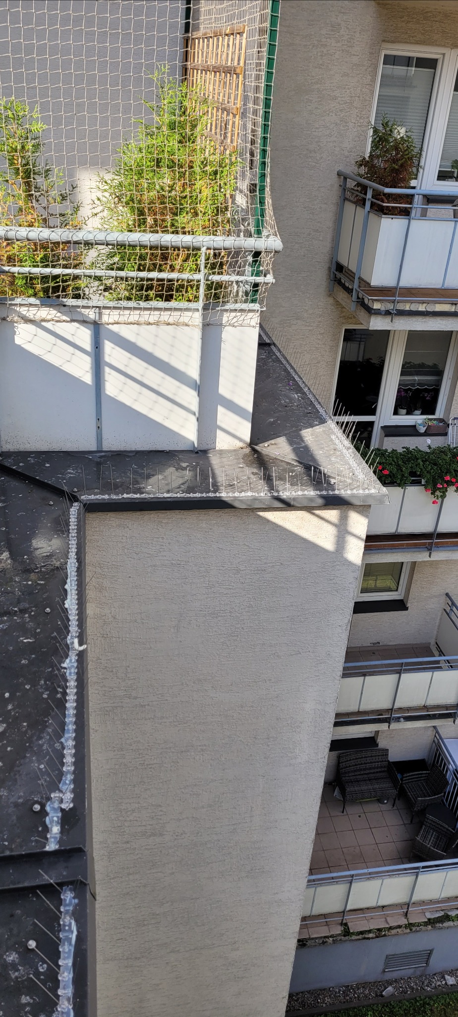 Montaż kolców dla ptaków