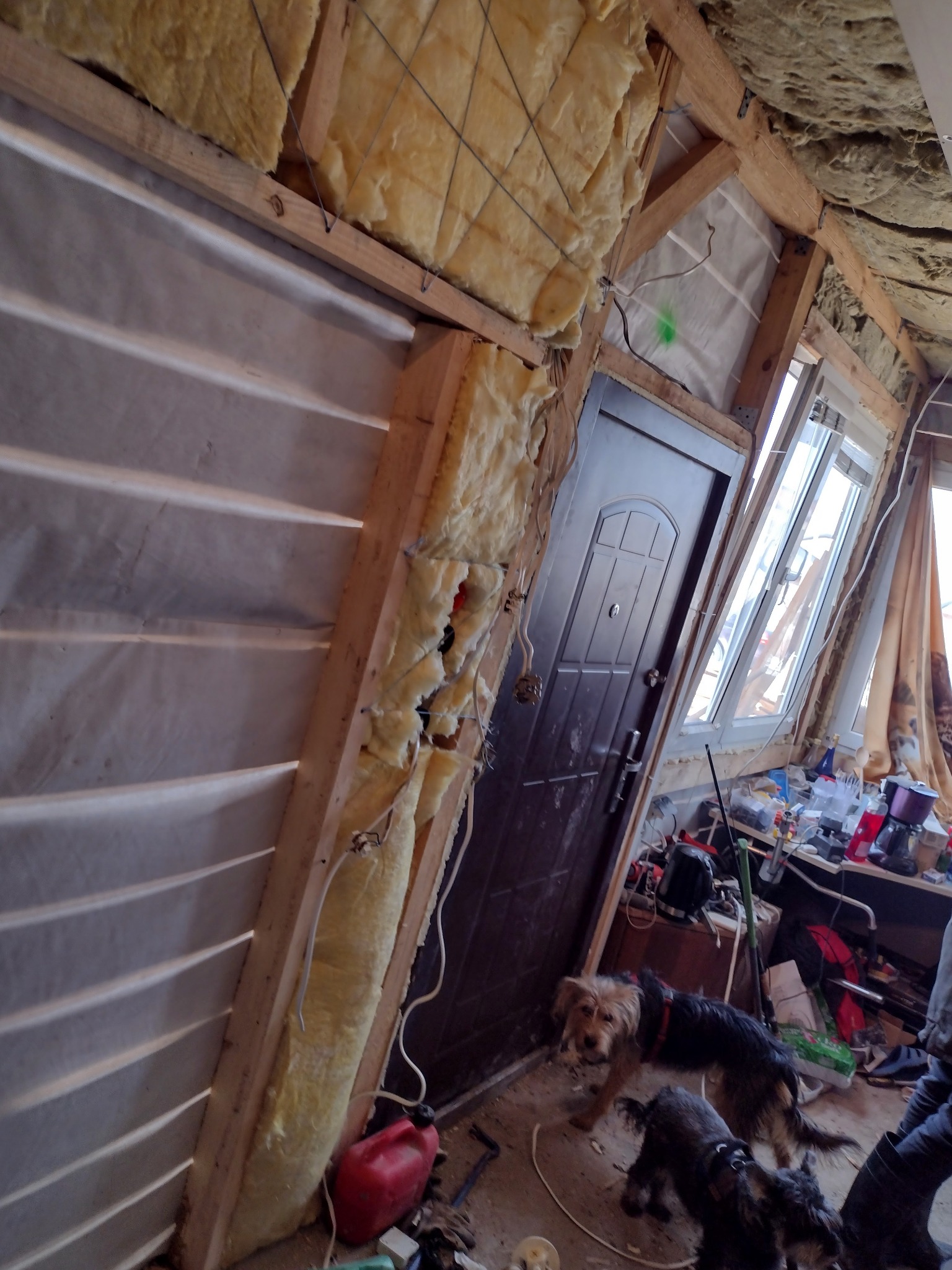 Wnętrze w trakcie prac remontowych: ocieplenie ścian wełną mineralną i montaż paneli ściennych, widoczne drewniane konstrukcje, okno, drzwi oraz dwa psy w pomieszczeniu.