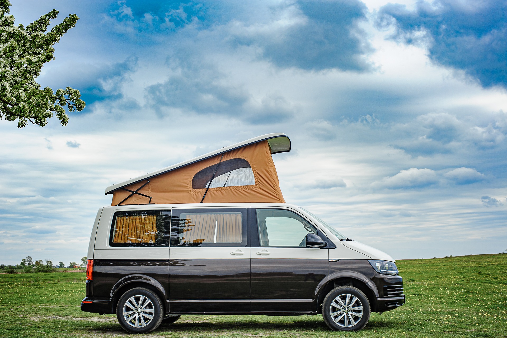 Dwukolorowy van z podnoszonym dachem kempingowym na zielonej łące pod pochmurnym niebem, z kwitnącą gałęzią drzewa w lewym górnym rogu.