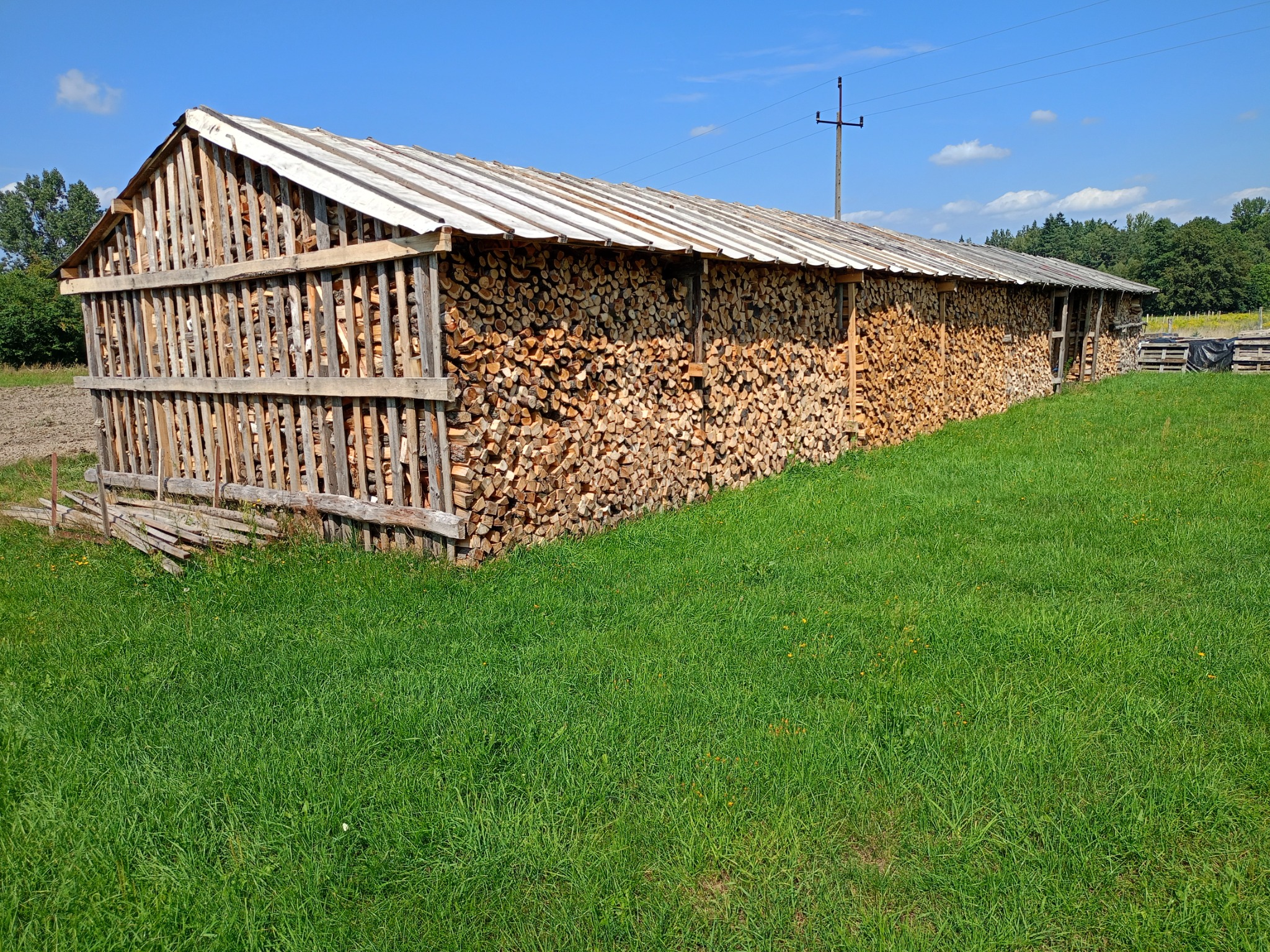Długi, drewniany skład z dachem wypełniony pociętym drewnem kominkowym, widok z zewnątrz na tle zielonej trawy i błękitnego nieba.
