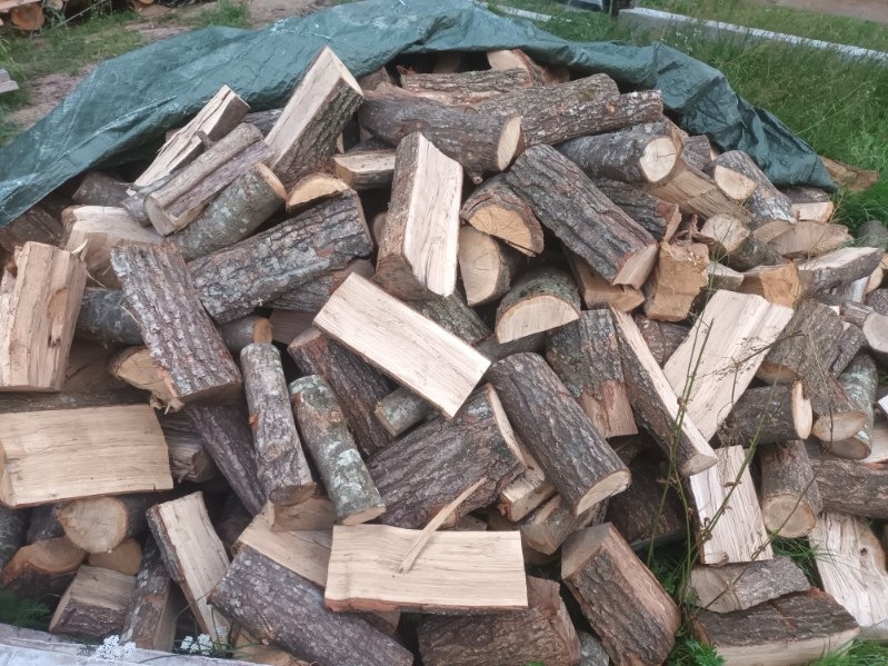 Stos pociętych klocków drewna z korą, częściowo przykryty zieloną plandeką.