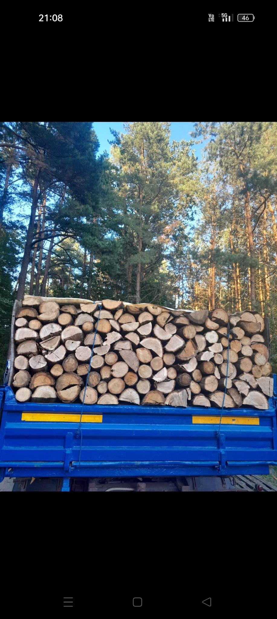 Załadunek pociętego drewna na niebieską skrzynię samochodu ciężarowego, widok na las w tle, zabezpieczone sznurkiem.