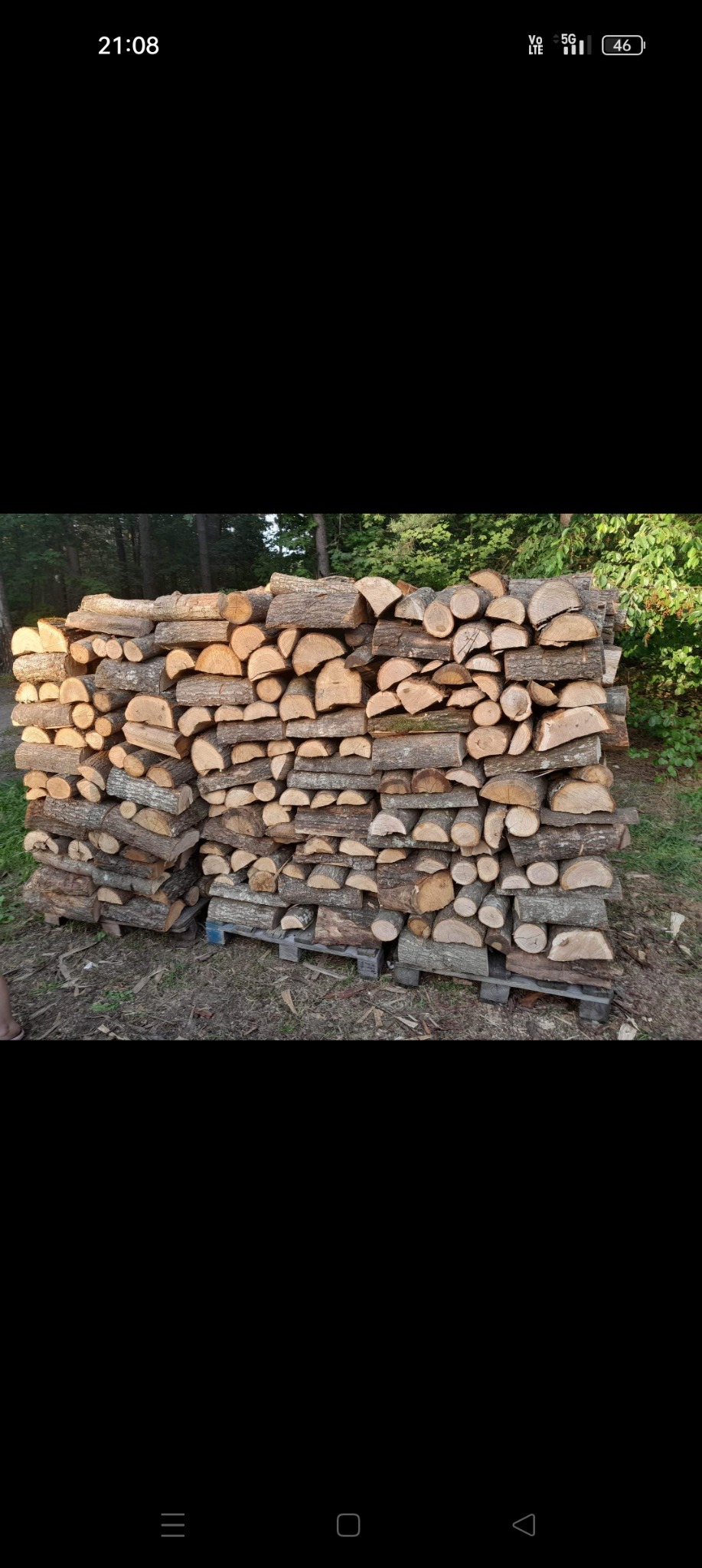 Ułożone drewno kominkowe na dwóch paletach, widoczne sęki i pęknięcia drewna, w tle drzewa i krzewy.