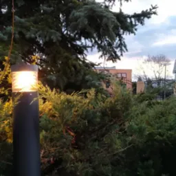 Czarna, cylindryczna lampa ogrodowa świecąca ciepłym światłem, otoczona iglakami i drzewem iglastym na tle budynku i pochmurnego nieba.