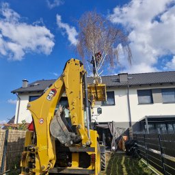 Marcin Wojciech - Żółta koparko-ładowarka CAT podnosi pracownika w kasku do korony brzozy na tle domu z szarą dachówką i błękitnego nieba z chmurami. W tle ogrodzenie.