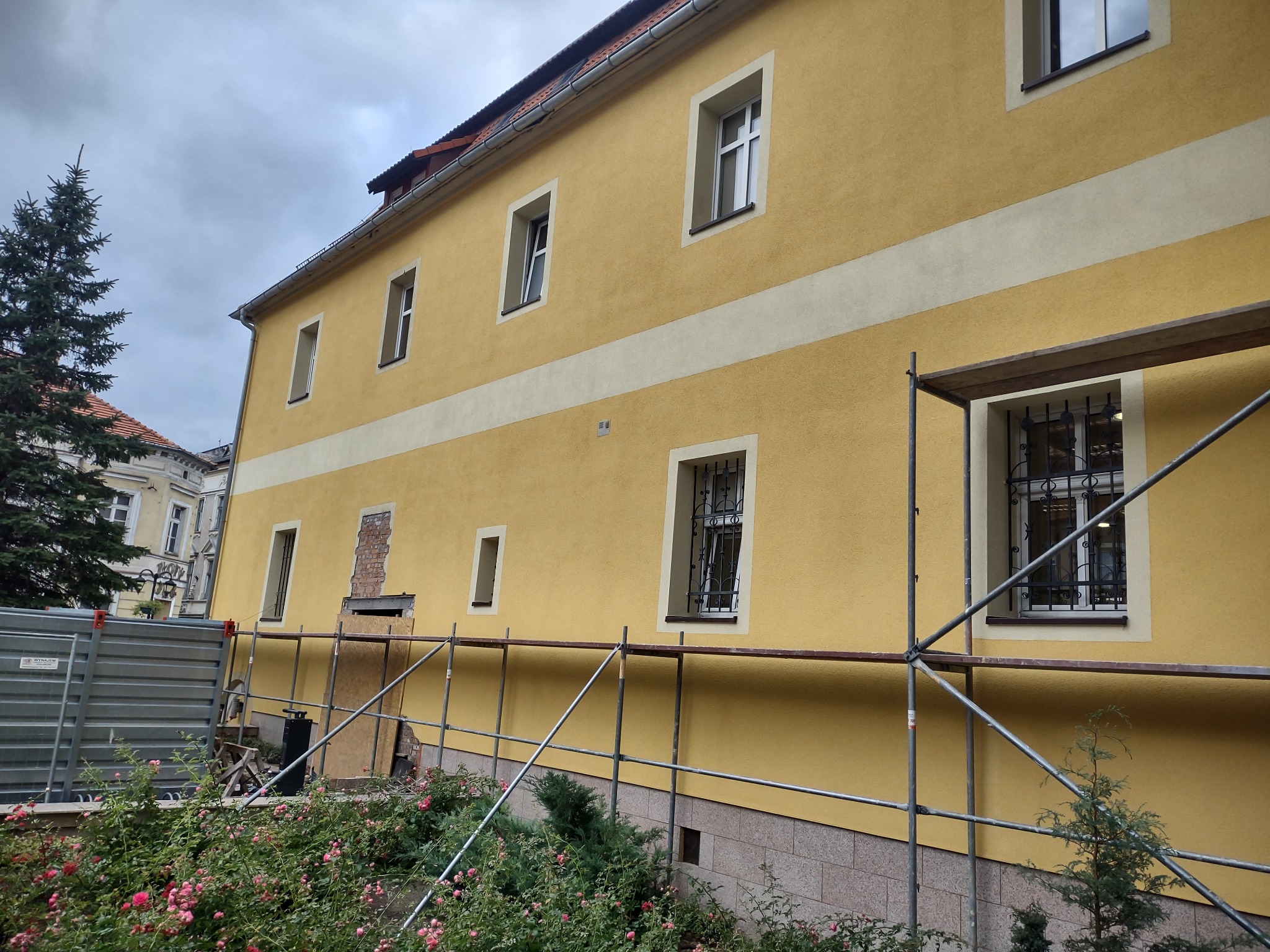 Żółta elewacja budynku w trakcie renowacji, z widocznymi rusztowaniami, fragmentem odkrytej cegły i pasem jasnej farby, otoczona zielenią i kwiatami.