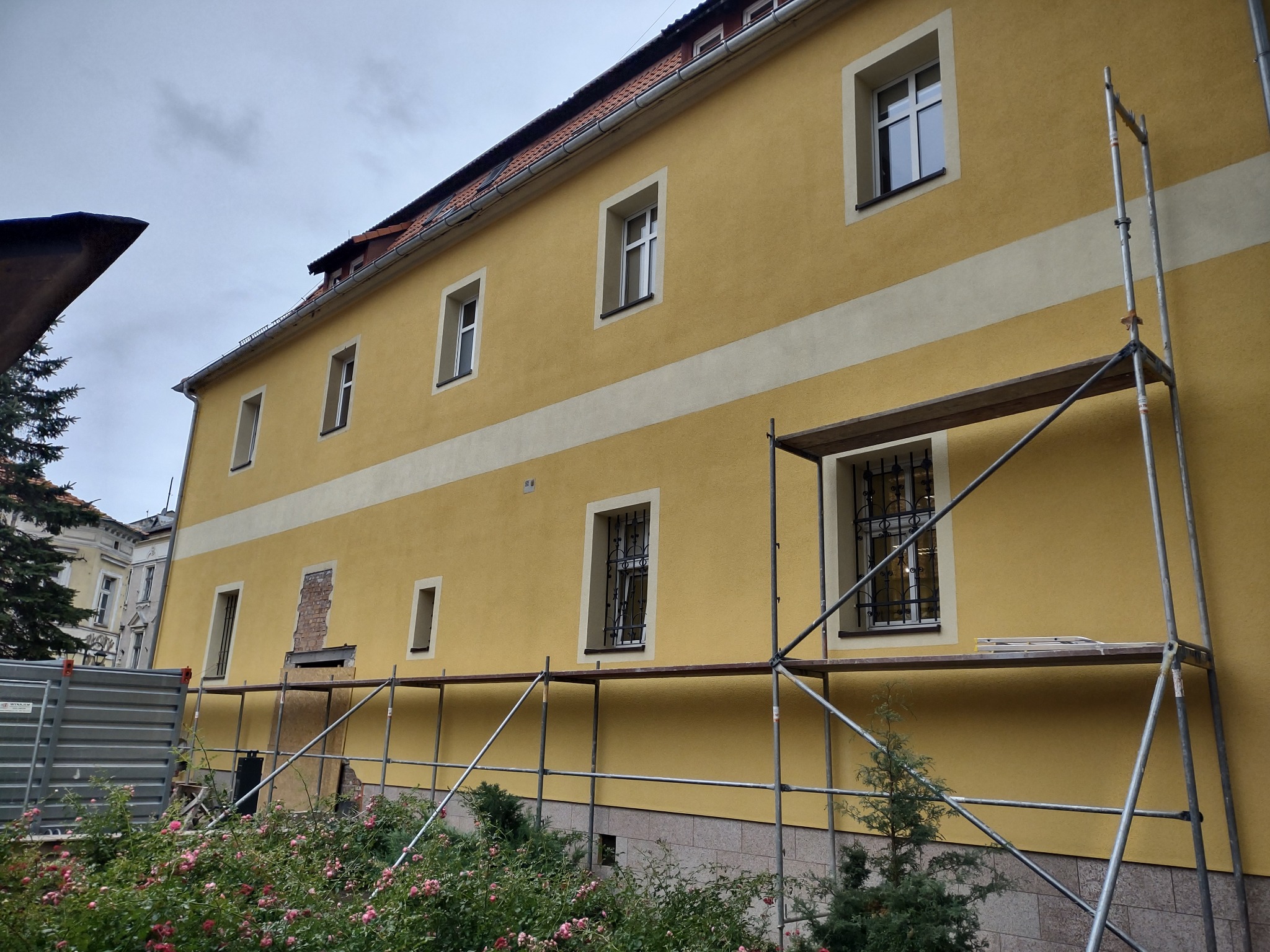 Żółta elewacja budynku z białym pasem, z oknami z ozdobnymi kratami i rusztowaniem, widok z poziomu kwitnących róż.