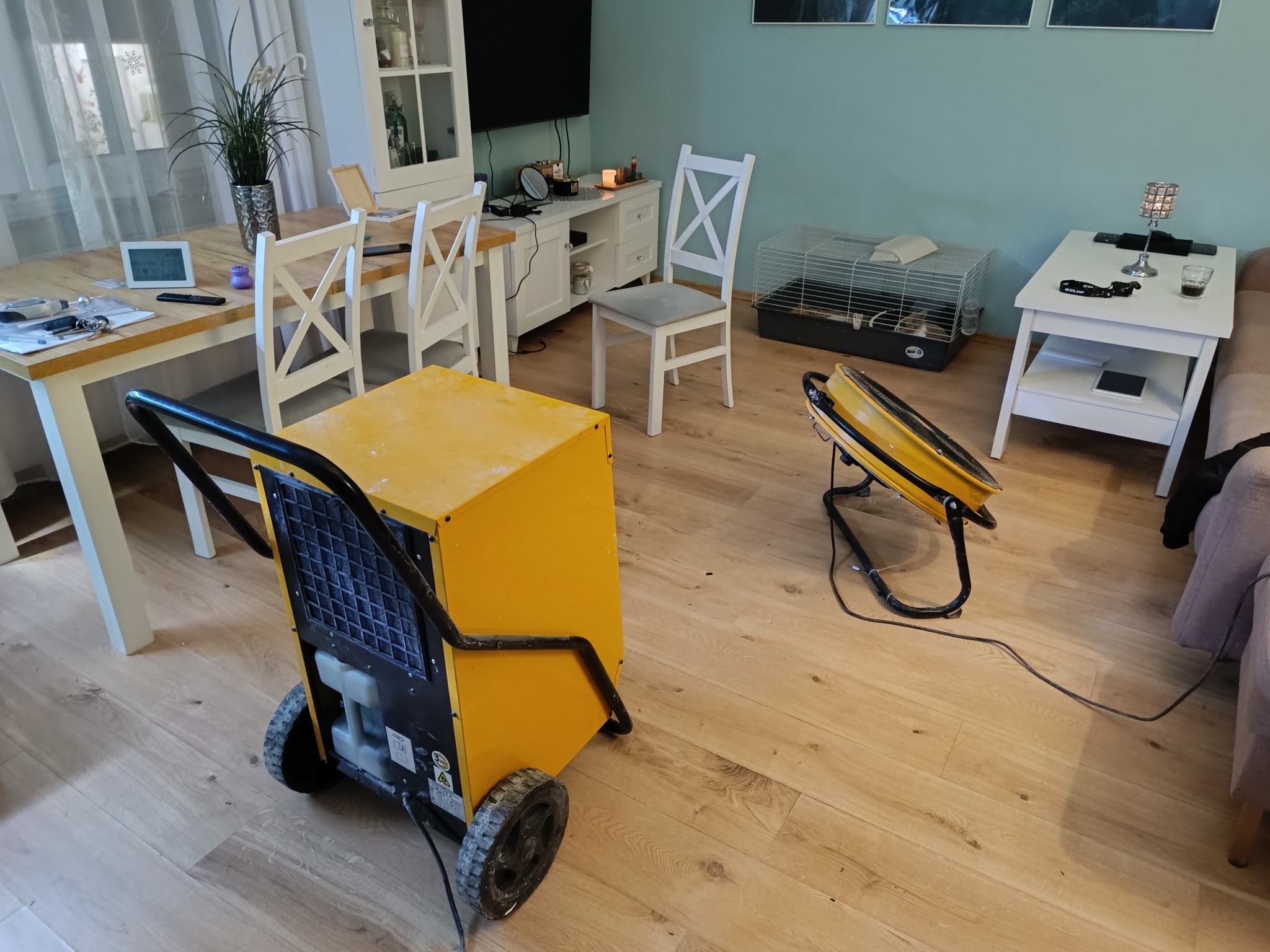 Żółty osuszacz kondensacyjny na kółkach oraz wentylator osuszający na drewnianej podłodze w jasnym, umeblowanym pokoju.