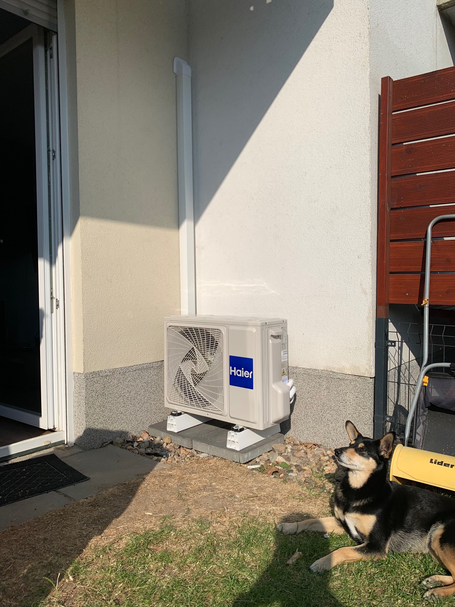 Zewnętrzna jednostka klimatyzacji Haier zamontowana przy ścianie domu, z psem leżącym na trawie w słoneczny dzień.