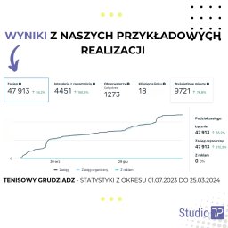 Reklama internetowa Pruszcz Gdański 7