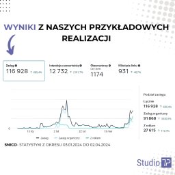 Reklama internetowa Pruszcz Gdański 8