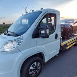 Biała laweta z czarnym sportowym samochodem na platformie, widok z boku na tle zachodzącego słońca i turbin wiatrowych.