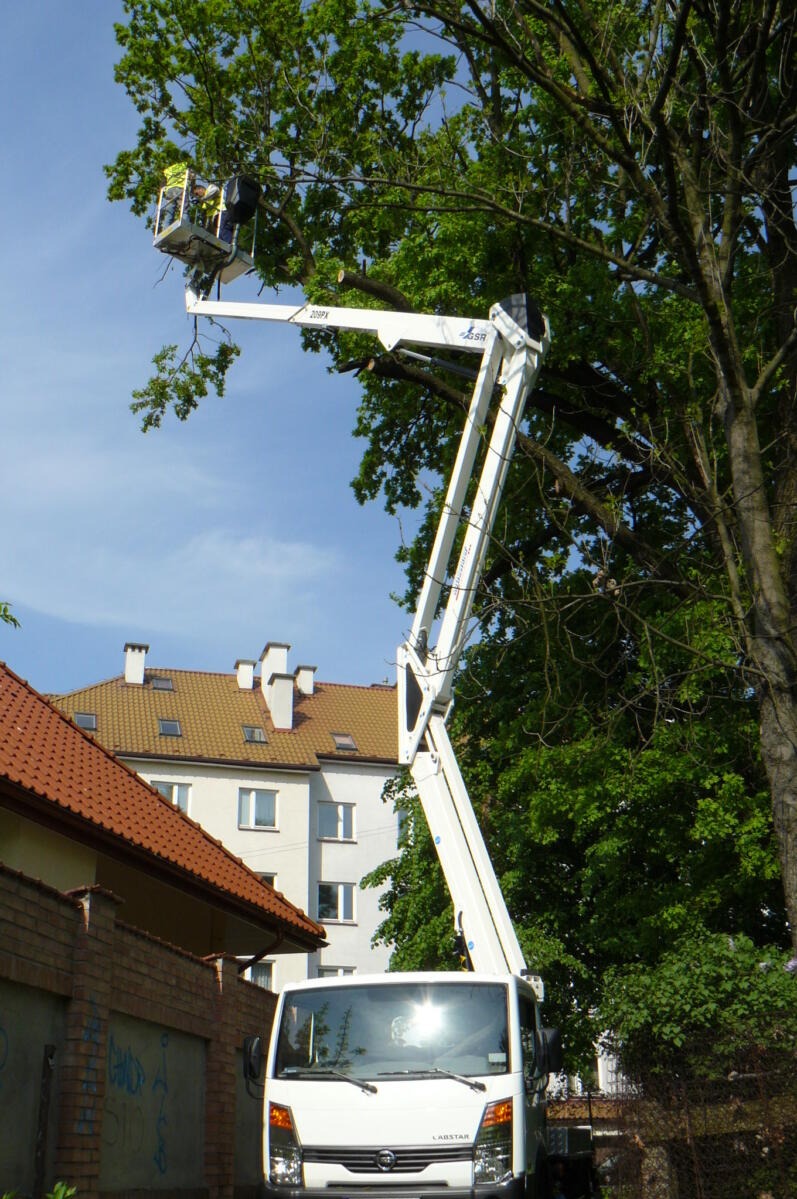 Pracownik w koszu podnośnika na tle zieleni drzew, przycinanie gałęzi, w tle budynki mieszkalne.