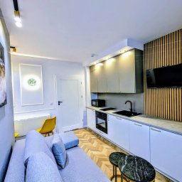 OnyxArt Piotr Padowski - Nowoczesne wnętrze kawalerki z aneksem kuchennym: białe szafki, czarny zlew i armatura, drewniana okładzina ściany za telewizorem, podłoga w jodełkę, szara sofa i marmurowe stoliki kawowe.