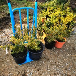 Układanie kostki brukowej Wrocław 3