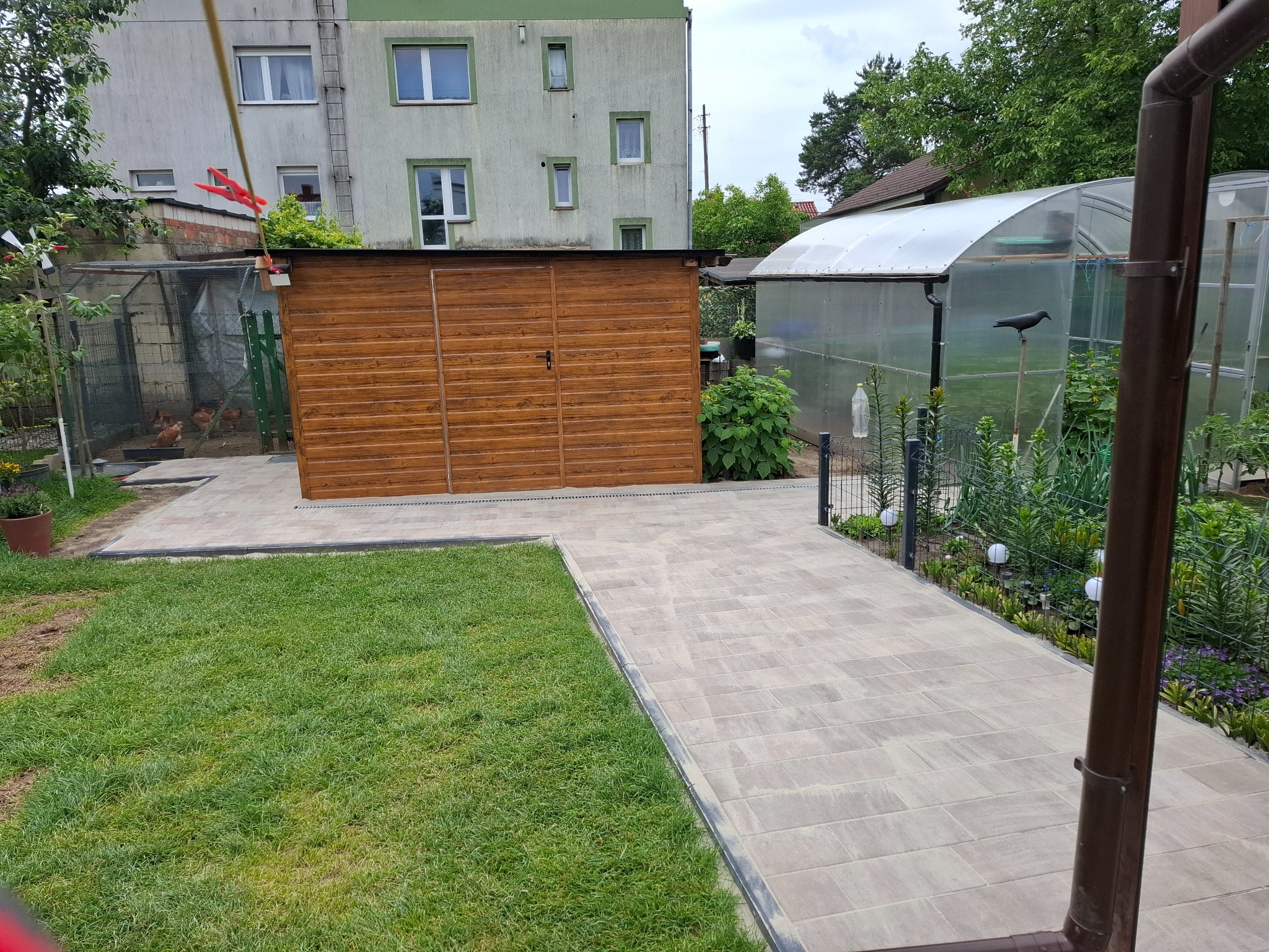 Ułożona kostka brukowa tworzy ścieżkę w ogrodzie, obok trawnika i drewnianej szopy. W tle budynek mieszkalny i szklarnia, na której siedzi kruk.