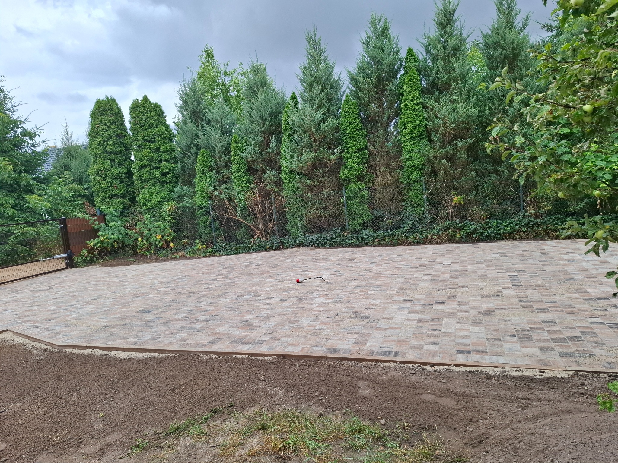 Nowa, beżowo-brązowa kostka brukowa na podjeździe, obrzeża z ziemi, tło z zielonych drzew iglastych, pochmurne niebo. Widok z poziomu gruntu.