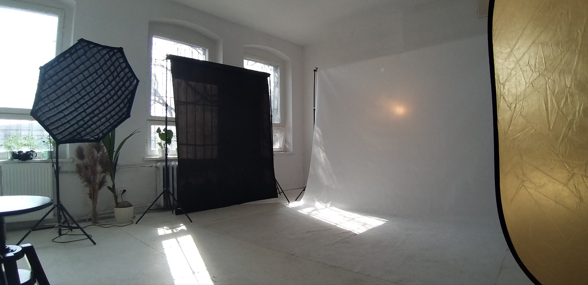 Pusta przestrzeń studyjna z białym tłem, czarną blendą, softboxem z gridem, złotą blendą i roślinami doniczkowymi przy oknie.
