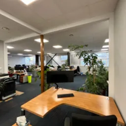 Przestronne biuro po remoncie z drewnianym biurkiem na pierwszym planie, widoczne rośliny doniczkowe, nowoczesne oświetlenie sufitowe i stanowiska pracy w tle.