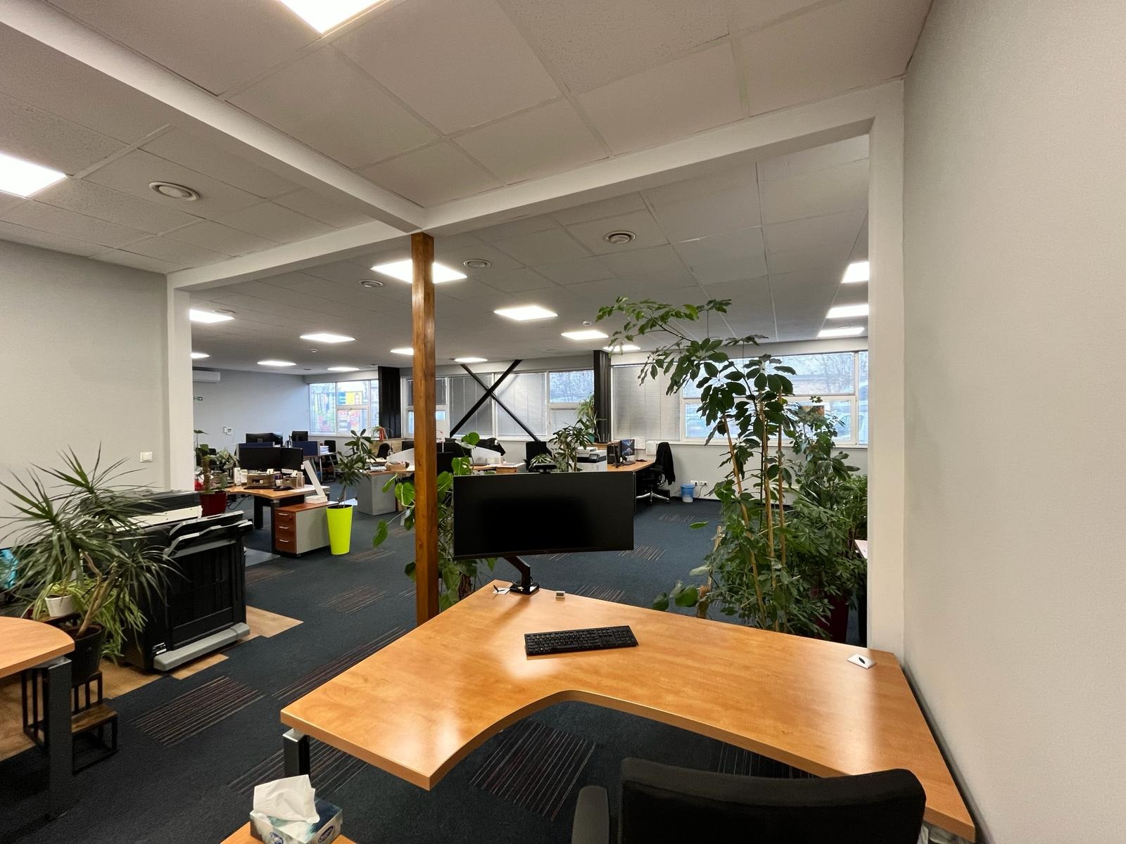 Przestronne biuro po remoncie z drewnianym biurkiem na pierwszym planie, widoczne rośliny doniczkowe, nowoczesne oświetlenie sufitowe i stanowiska pracy w tle.