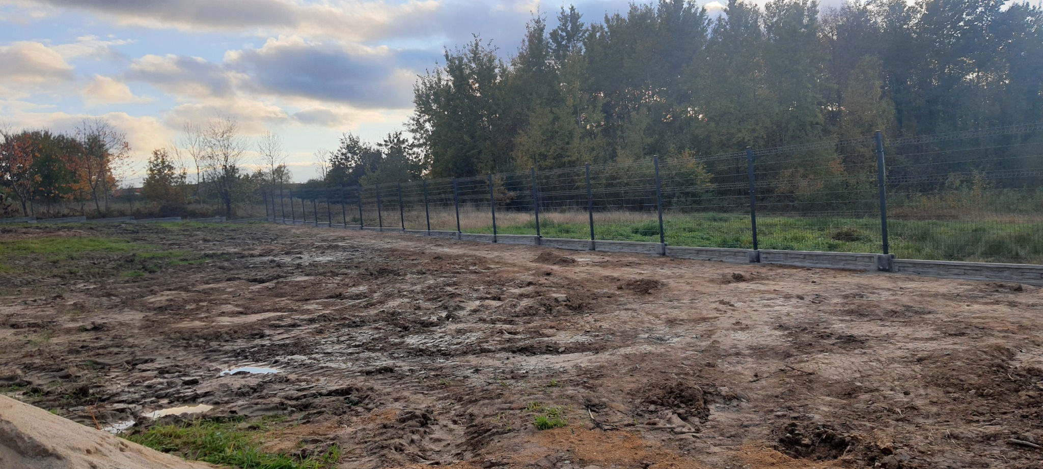 Nowo postawione ogrodzenie panelowe z podmurówką betonową na błotnistym terenie, widok na las w tle, pochmurne niebo.