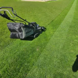 Koszenie jest bardzo ważnym elementem dbania o trawnik.