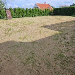 Trawnik po renowacji, zawierającej, koszenie, wertykulację, aerację otworową, nawożenie i piaskowanie z poziomowaniem.