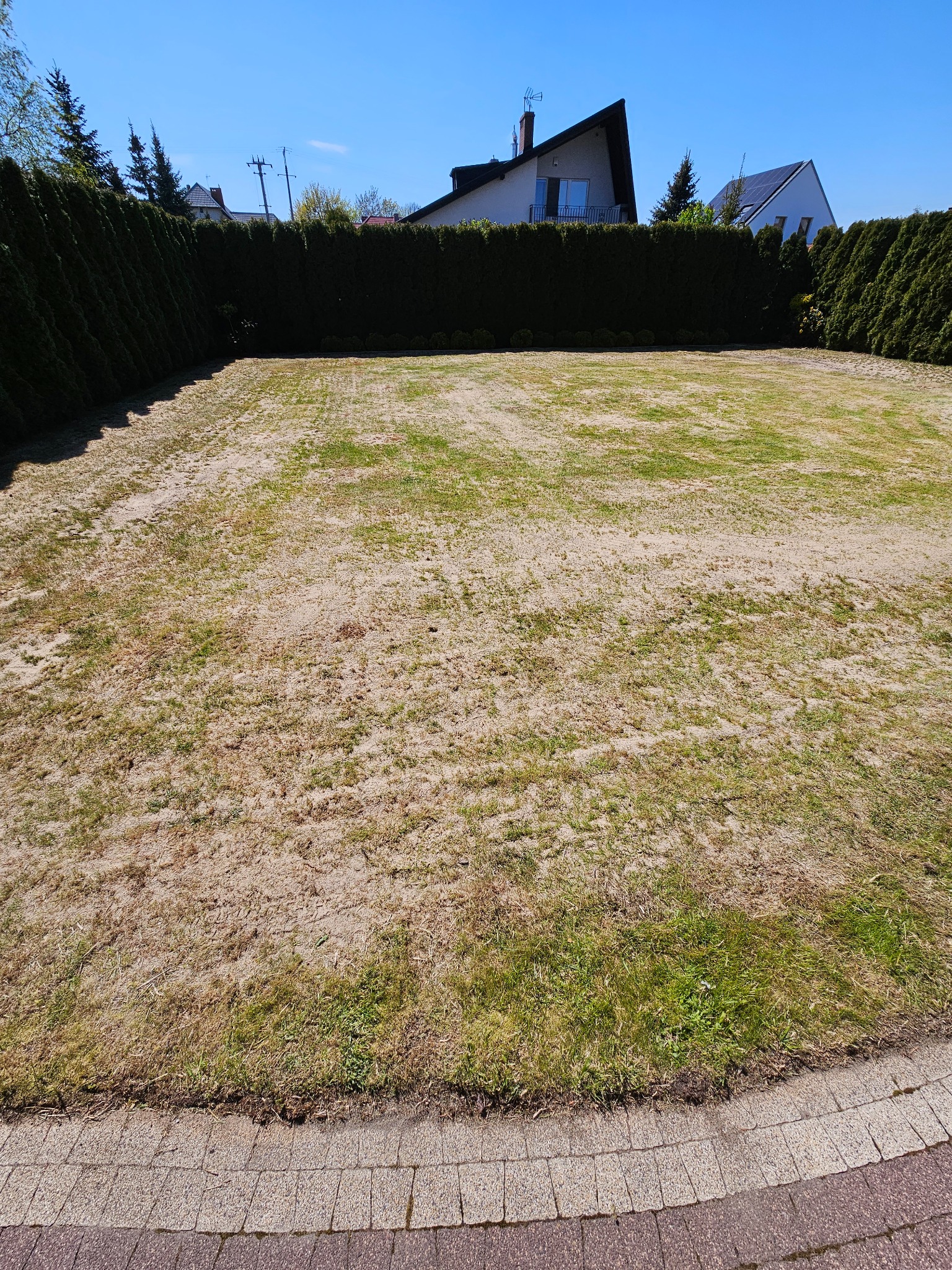 Pełna renowacja z aeracją piaskowaniem i dosiewką.