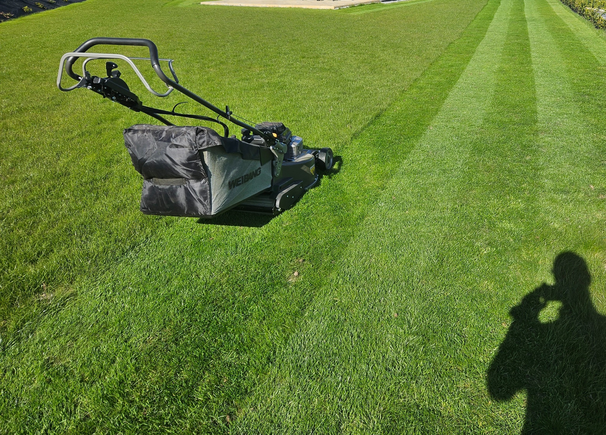 Koszenie jest bardzo ważnym elementem dbania o trawnik.